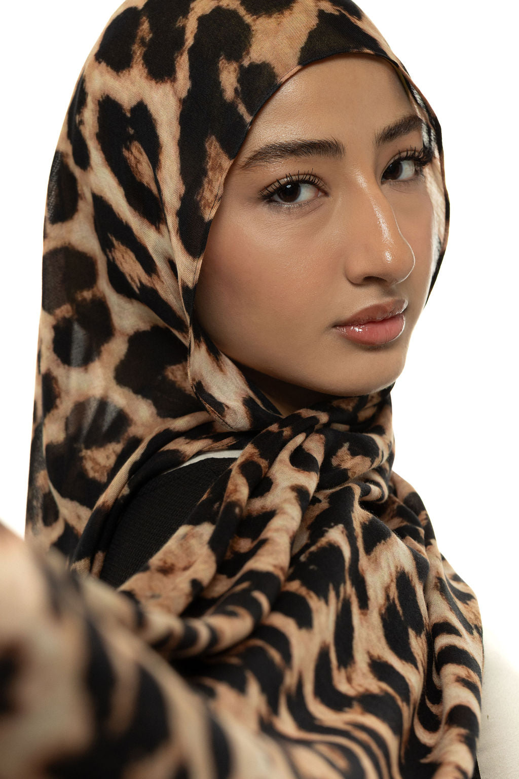 Cheetah Modal