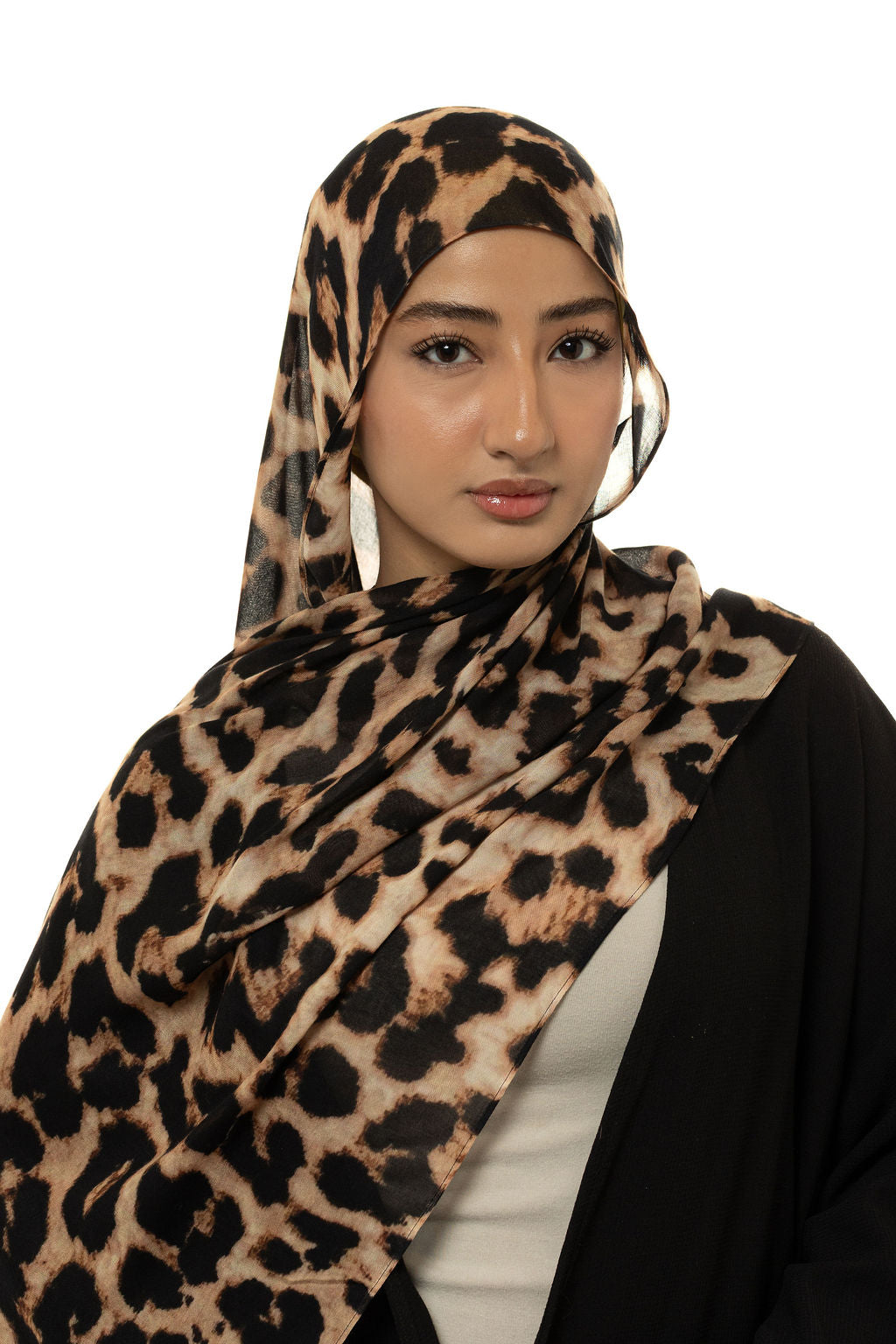 Cheetah Modal