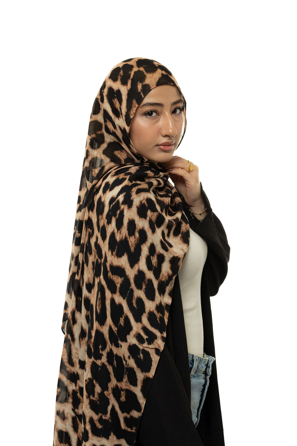 Cheetah Modal